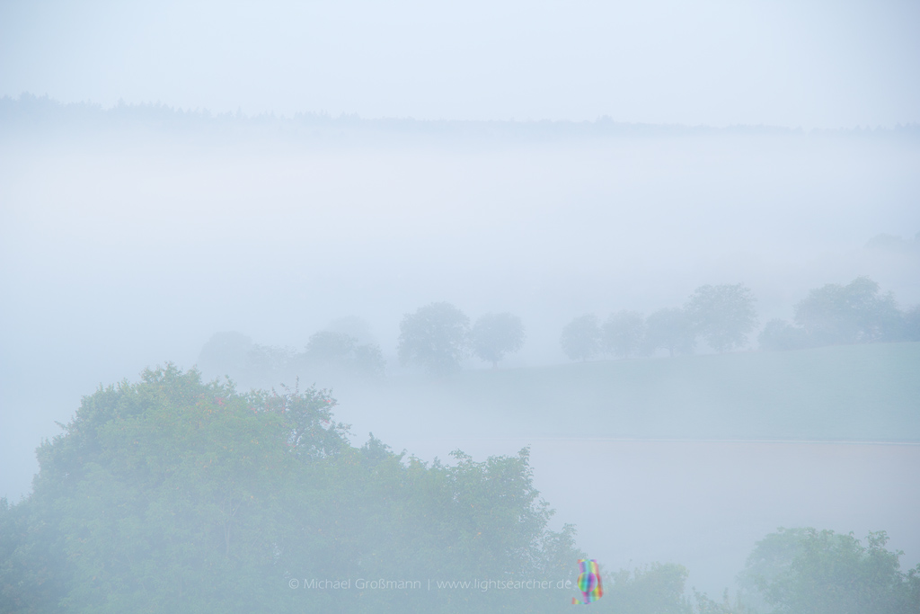 Nebel | 01.10.2020