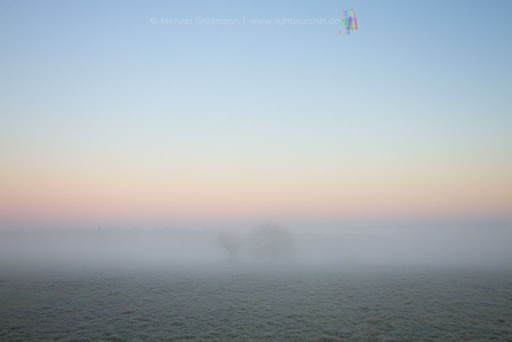 Nebel | 28.11.2020