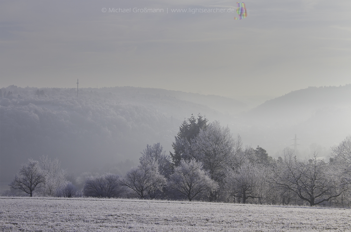 Nebel | 28.12.2018