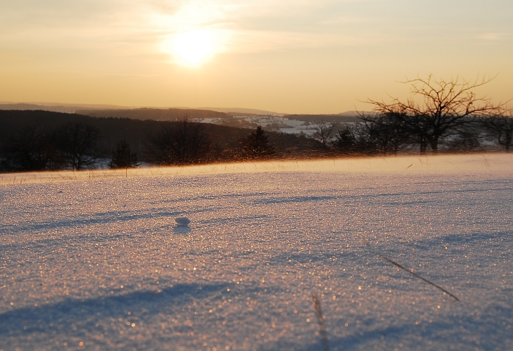 Schneefegen | 09.03.2010