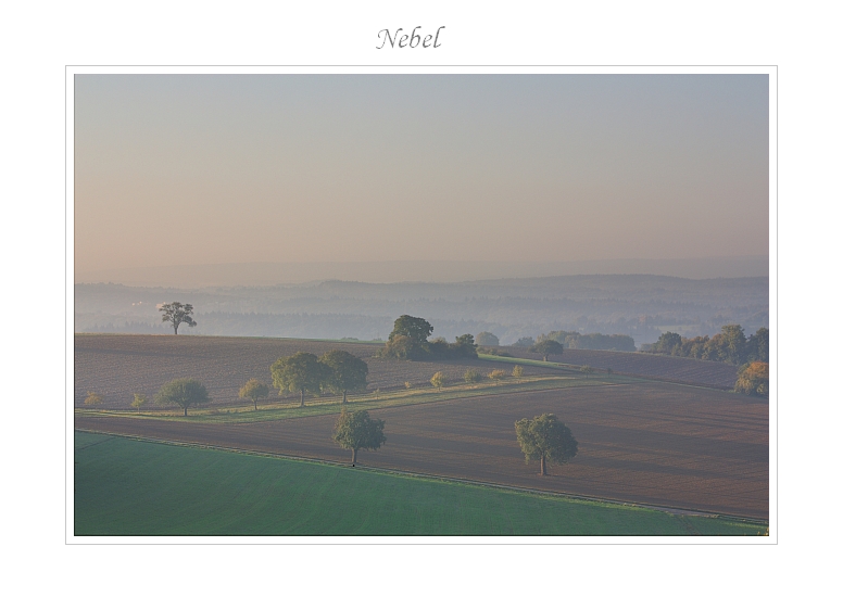 Nebel 01.10.2011