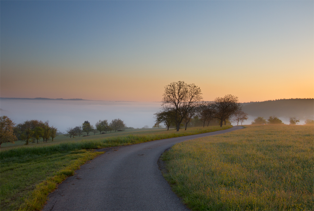 Nebelstimmung | 04.05.2016