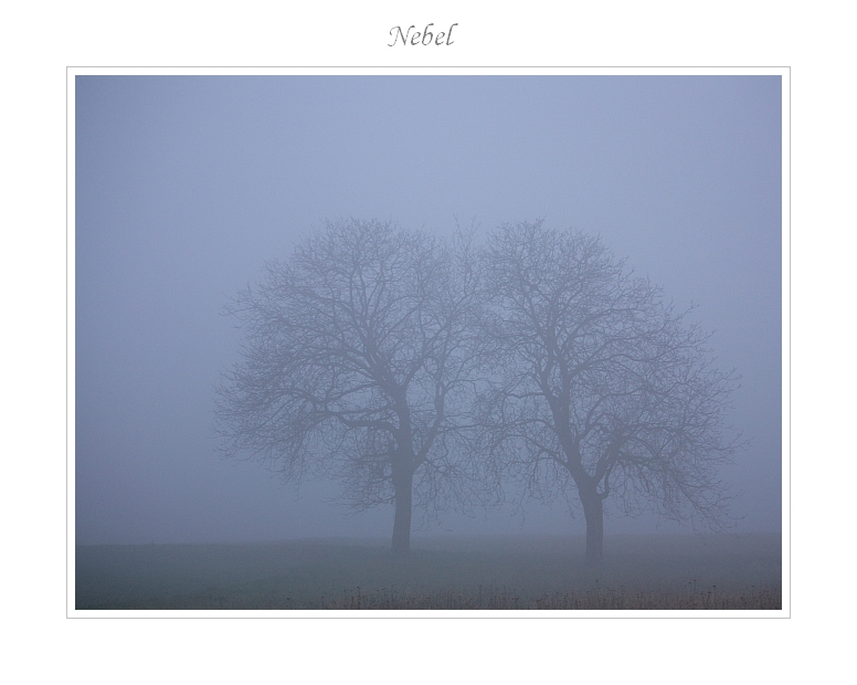 Nebel 05.04.2012