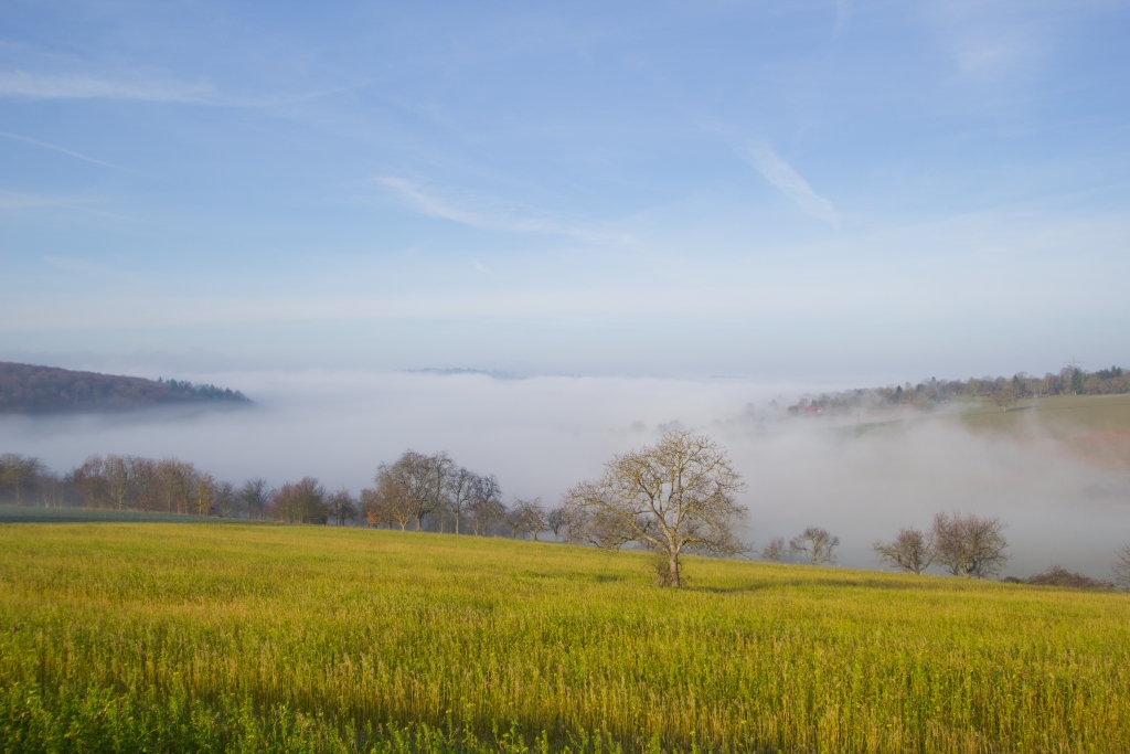 Nebel 12.01.2014