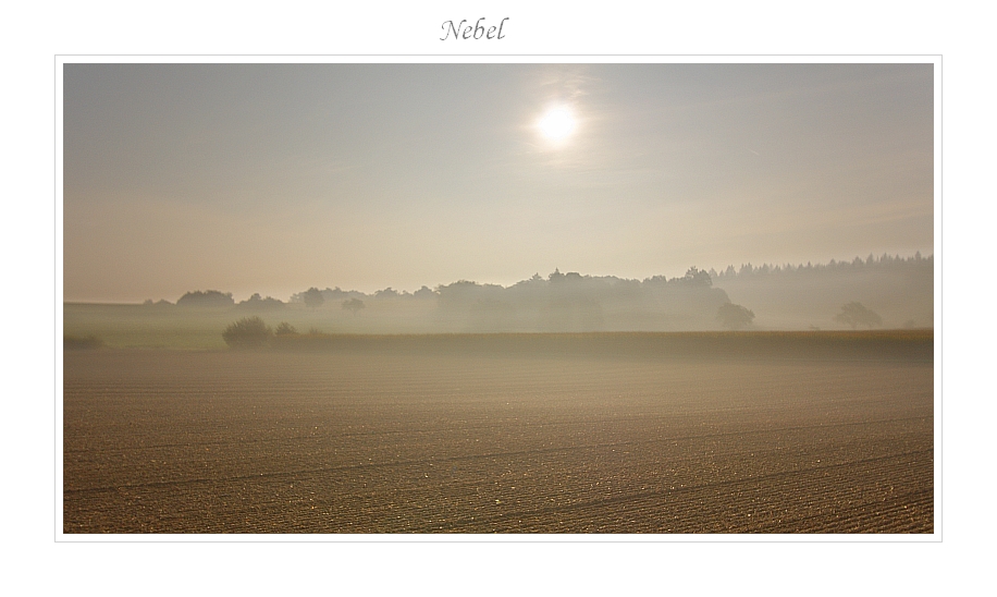 Nebel 29.09.2011