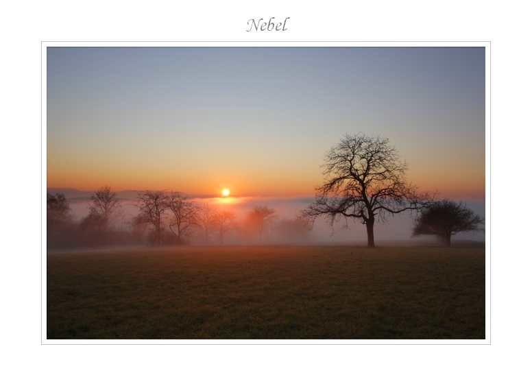 Nebel 29.11.2011