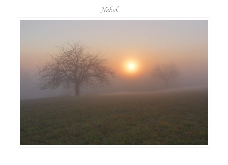 Nebel 29.11.2011