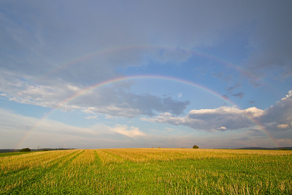 Regenbogen 02.08.2014