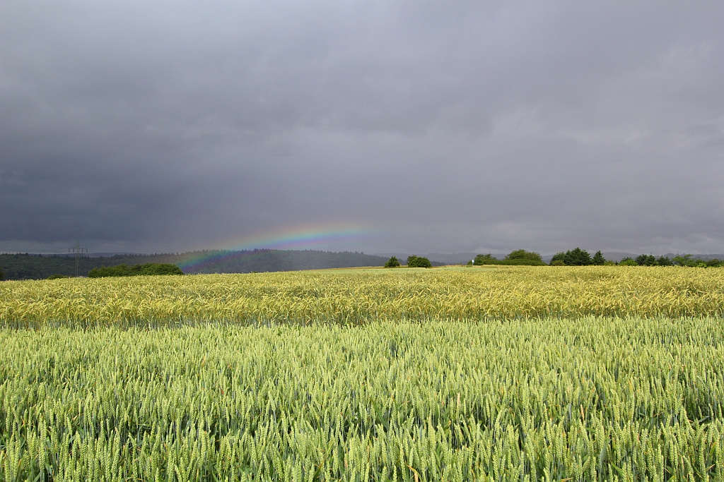 Regenbogen 03.07.2013