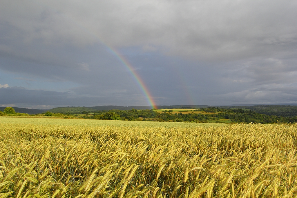 Regenbogen 03.07.2013