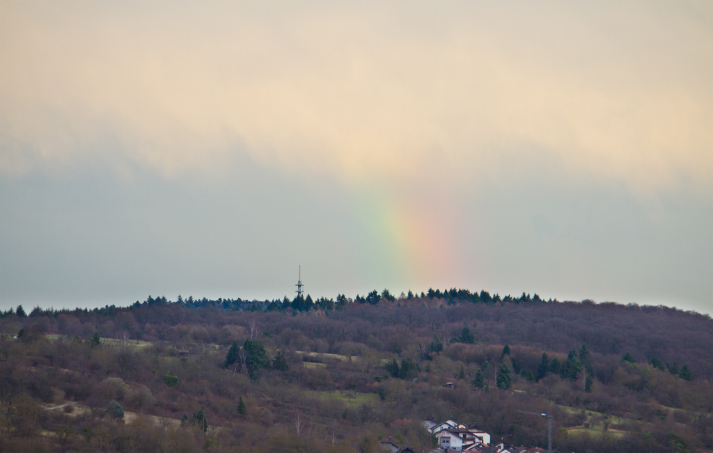 Regenbogenfu | 04.03.2017