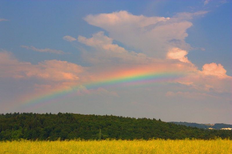 flacher Regenbogen 04.06.2011