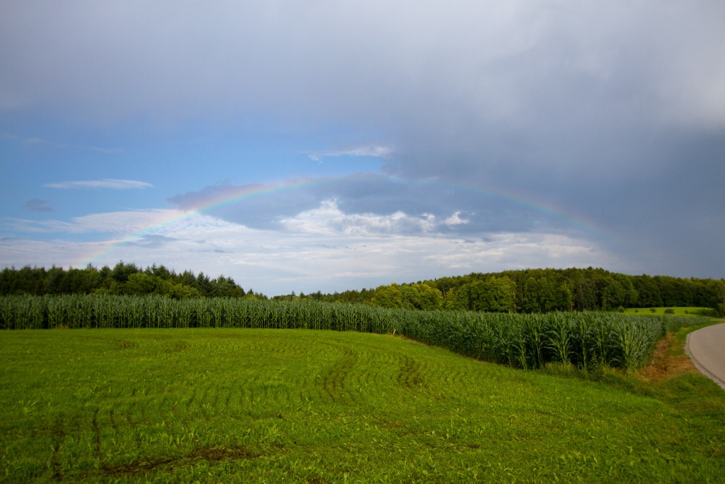 Regenbogen | 09.07.2017