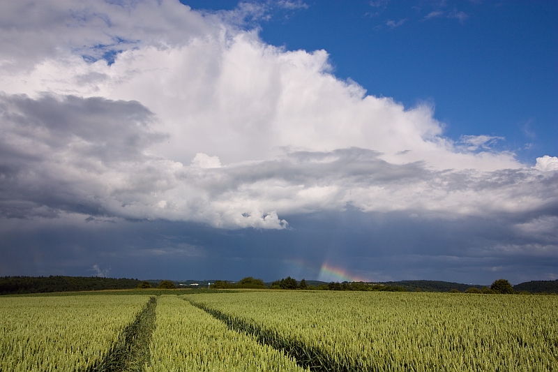 flacher Regenbogen 11.06.2012