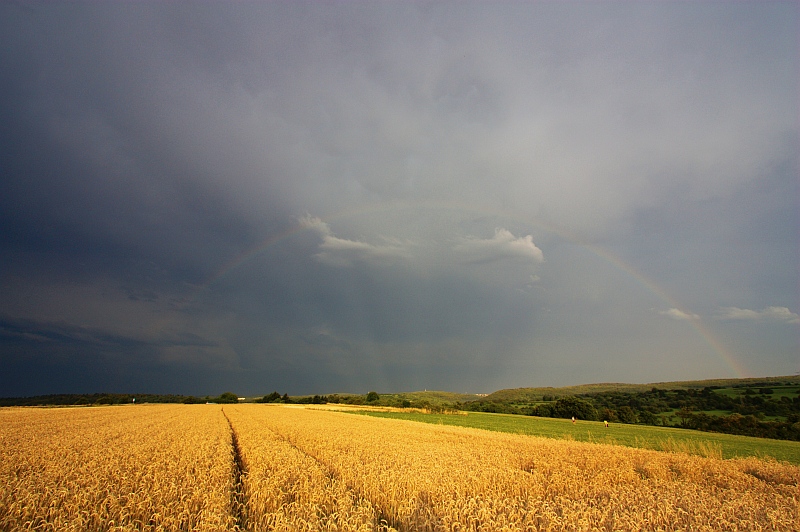 Regenbogen 12.07.2011