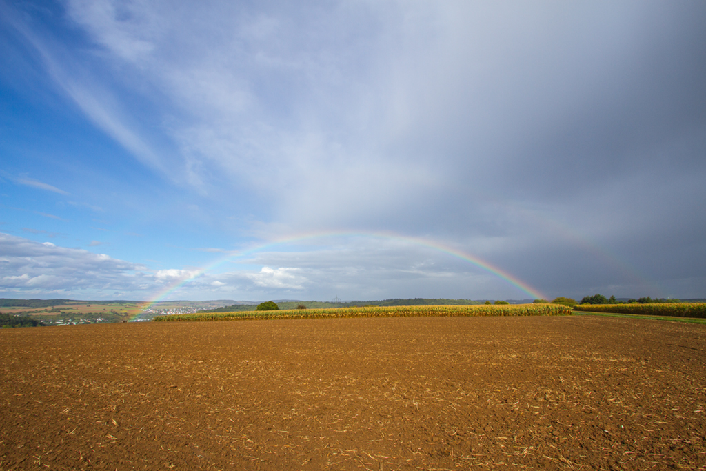 Regenbogen | 12.09.2017