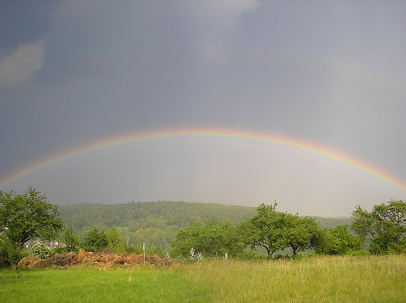 Regenbogen 15.06.2006