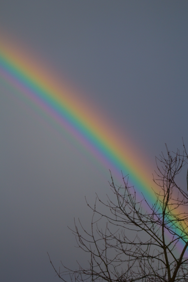 Regenbogen mit Interferenzen 16.02.2014