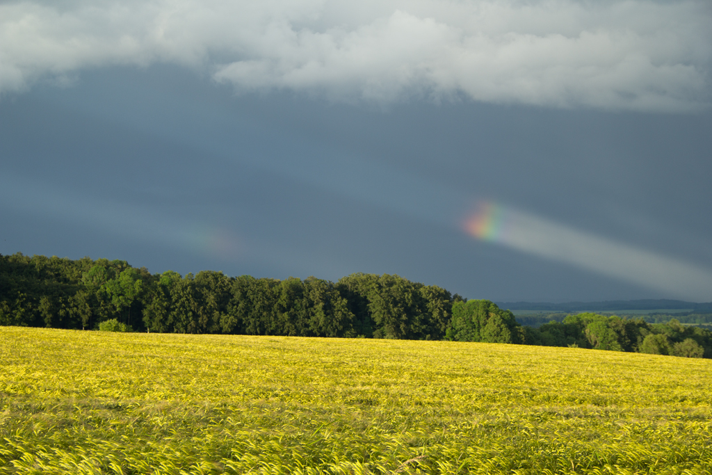 Regenbogensegment | 18.06.2016