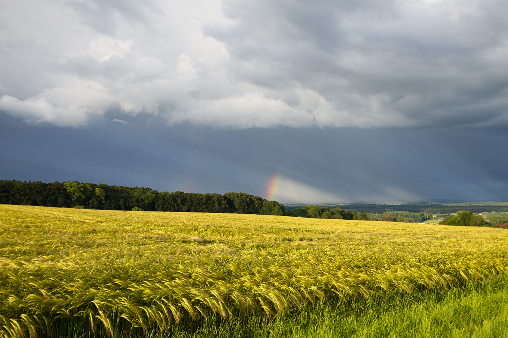 Regenbogensegment und Gegendmmerungsstrahlen | 18.06.2016