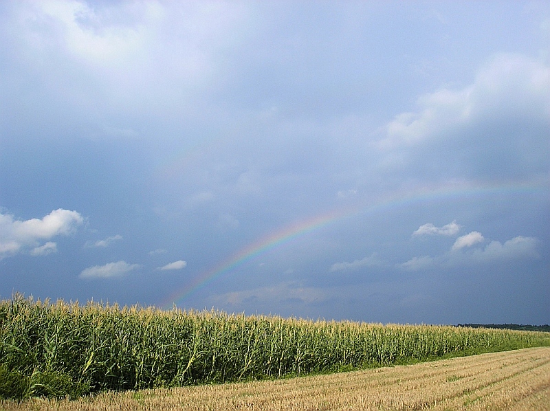 Regenbogen 27.08.2006