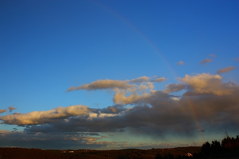 Regenbogen 28.02.2010