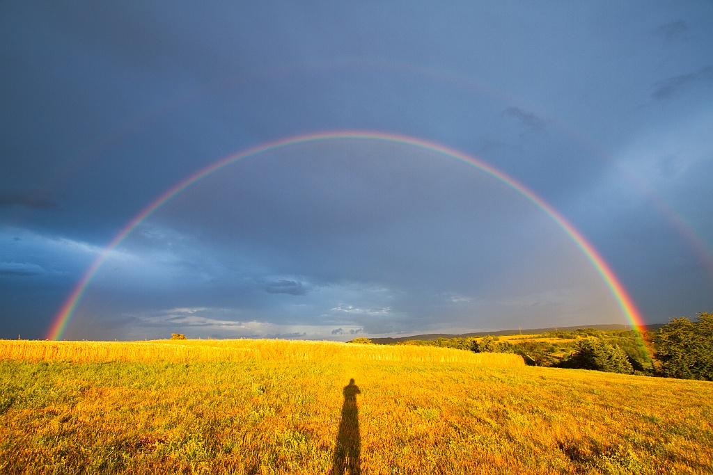 Regenbogen 29.06.2014