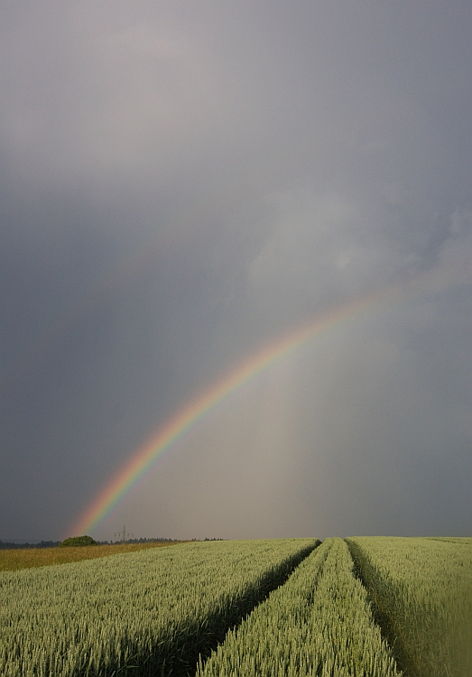 Regenbogen 30.05.2012