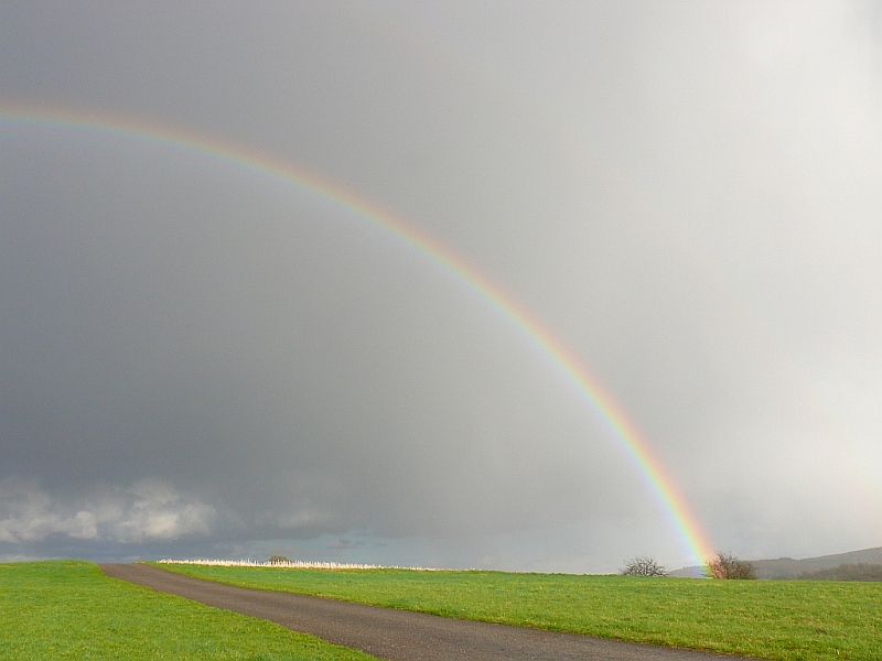 Regenbogen 31.03.2010