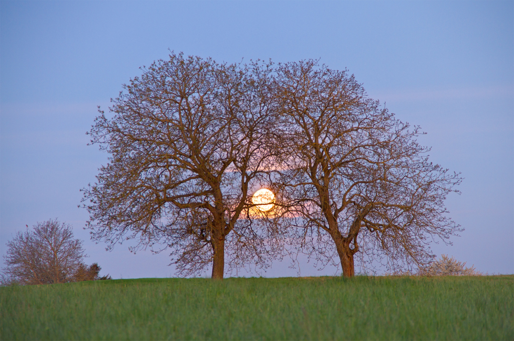 Monduntergang | 21.04.2016