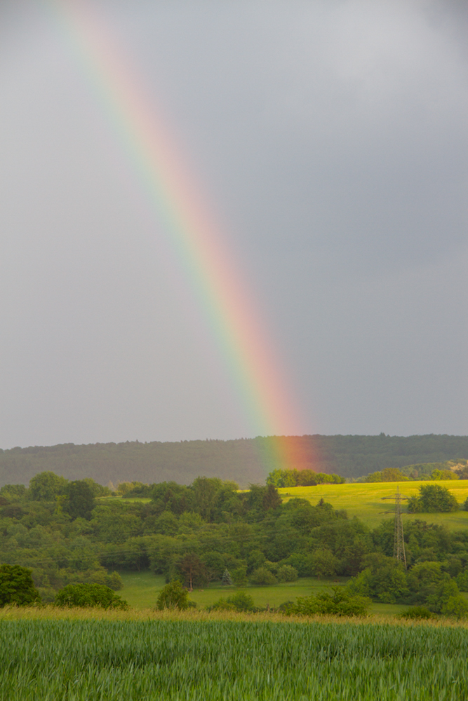 Regenbogen | 15.05.2018