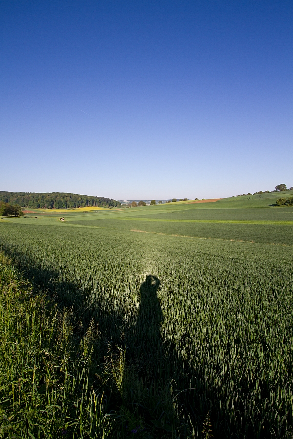 Heiligenschein 03.05.2014