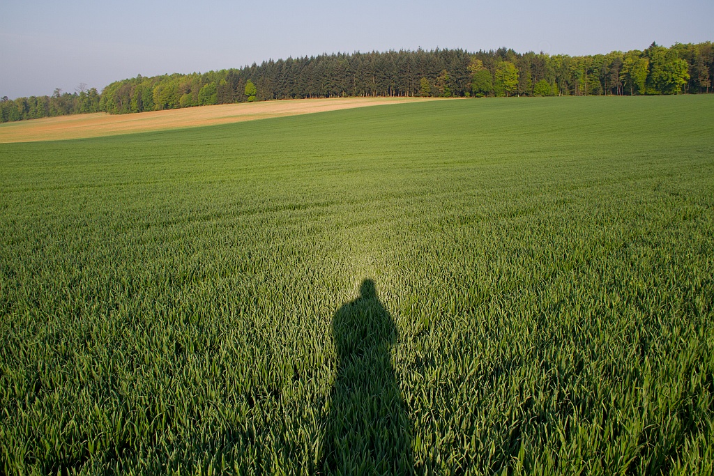 Heiligenschein 20.04.2014