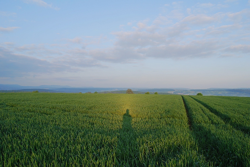 Heiligenschein 23.05.2010