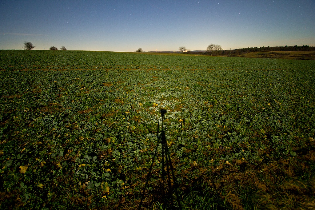 Heiligenschein durch Mondlicht 17.01.2014