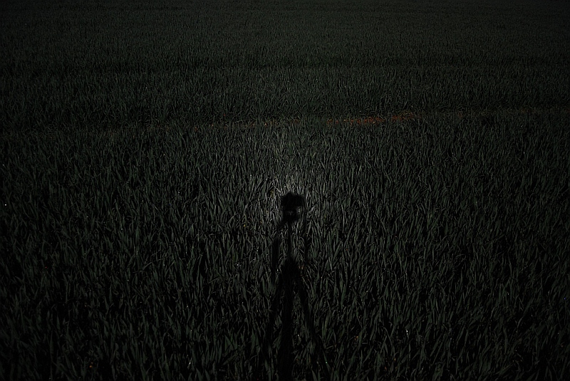 Heiligenschein durch Mondlicht 20.04.2008