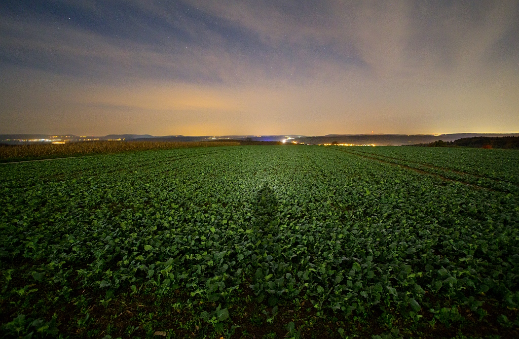 Heiligenschein bei Mondlicht 22.10.2013