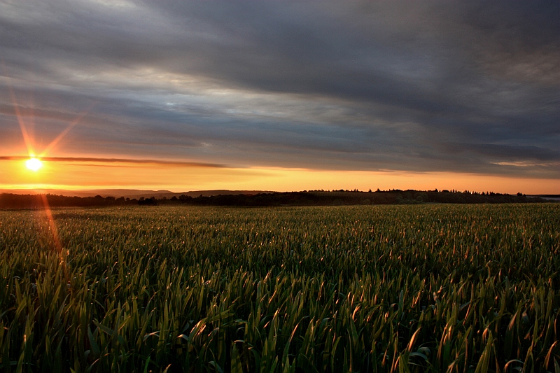 Sonnenuntergang 03.06.2010