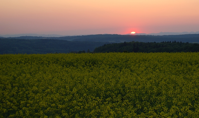 Sonnenuntergang 07.05.2008