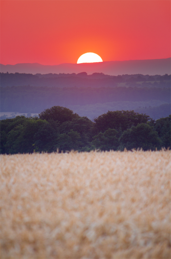 Sonnenuntergang | 11.07.2015