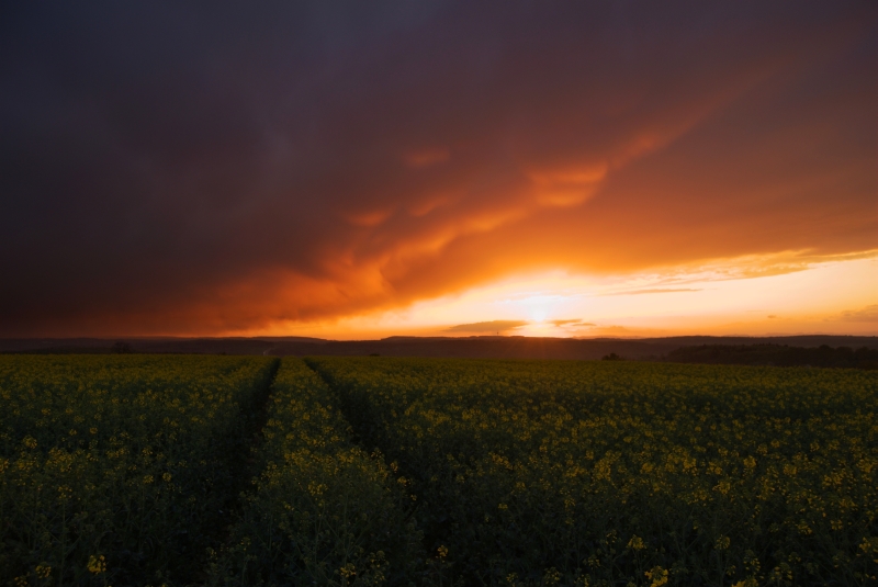 Sonnenuntergang 12.04.2011