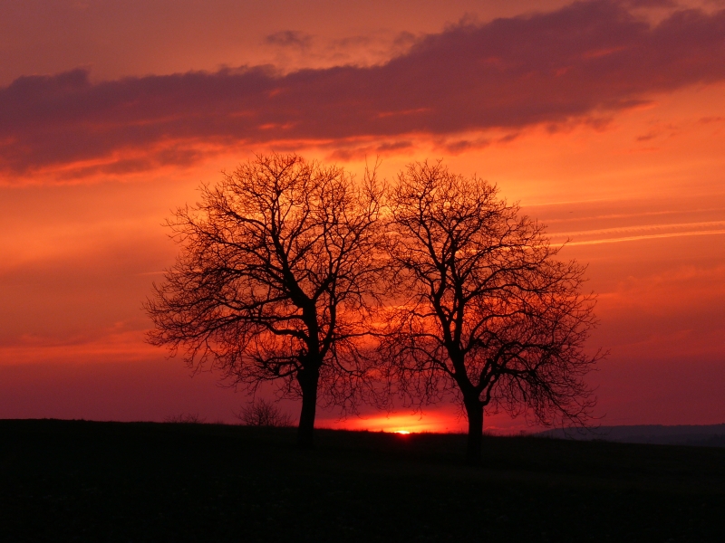 Sonnenuntergang 14.03.2011