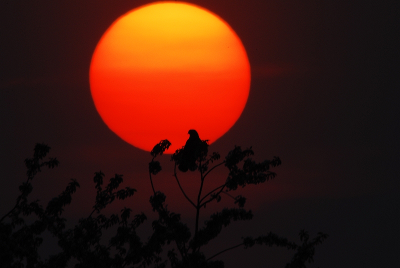 Sonnenuntergang 14.04.2009