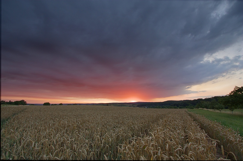 Sonnenaufgang 15.07.2011