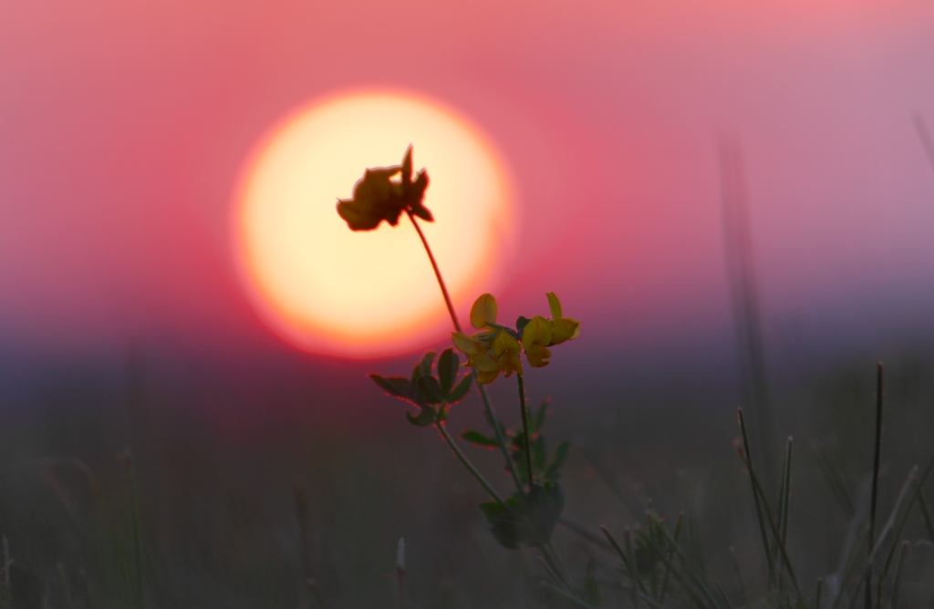 Sonnenuntergang 18.07.2013