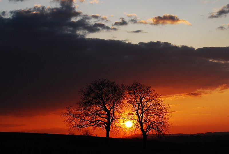 Sonnenuntergang 19.03.2009