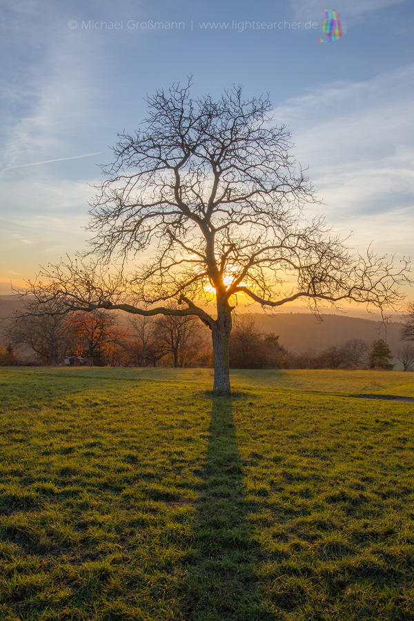 Sonnenuntergang | 21.11.2020