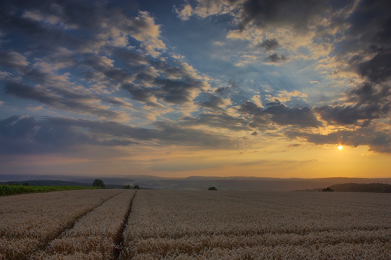 Sonnenuntergang 24.07.2010