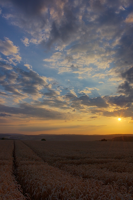 Sonnenuntergang 24.07.2010