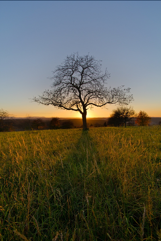 Sonnenuntergang 24.10.2013